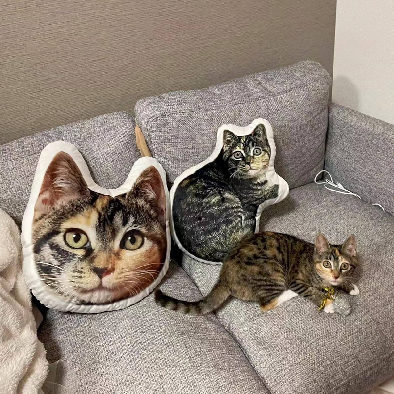 Custom Pet Shaped Pillow - Personalized 3D Pet Memorial Keepsake